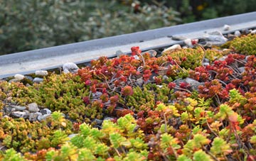 the cost of Bryn Rhyd Yr Arian green roof installation